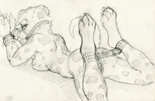 2015 anthro bdsm biped bondage bound breasts canid canine canis dalmatian domestic_dog female genitals looking_at_viewer looking_back lying mammal nude on_front pussy rope ruaidri side_boob sketch solo submissive submissive_female // 837x548 // 92KB