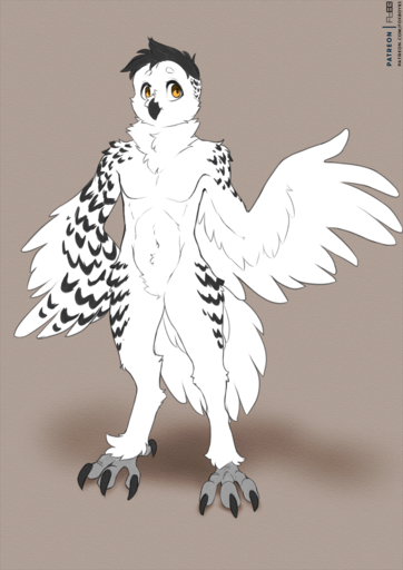 anthro avian beak biped bird bird_feet bubo_(genus) claws digital_media_(artwork) feathered_wings feathers foxboy83 fur hair hi_res male owl simple_background snowy_owl solo standing tail_feathers talons toe_claws true_owl white_body white_feathers winged_arms wings yellow_eyes // 905x1280 // 1.3MB