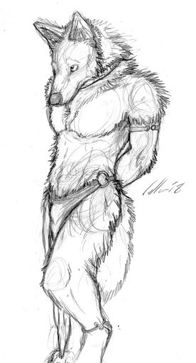 anthro biped bottomwear canid canine canis clothing collar coyote harem loincloth male mammal monochrome sketch solo tuuwa vellum // 620x1152 // 504.7KB