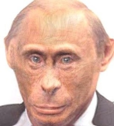 anonymous_artist anthro dictator edit haplorhine looking_at_viewer low_res male mammal monkey murderer photo_manipulation primate russia russian scumbag simple_background solo vile vladimir_putin war_criminal warmonger white_background // 303x335 // 30.3KB
