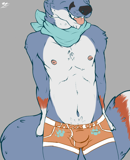 2014 absurd_res anthro bambii_dog boxer_briefs bulge canid canine clothed clothing faceless_character faceless_male fox front_view grey_background hi_res low-riding male mammal navel neckerchief nipples nokly pubes signature simple_background slim solo standing tongue tongue_out topless underwear // 3000x3700 // 483.9KB