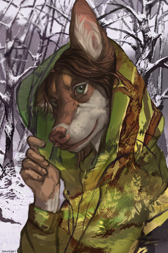 2018 2:3 5_fingers anthro brown_body brown_fur canid canine clothed clothing detailed_background digital_media_(artwork) fingers forest fur green_eyes hi_res invisibility_cloak looking_at_viewer mammal outside plant shwonky smile solo tree winter // 1000x1500 // 2.1MB