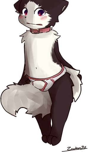 2017 2:3 anthro blush briefs canid canine canis clothing collar conditional_dnp domestic_dog fur genitals hi_res humanoid_genitalia humanoid_penis male mammal open_mouth penis simple_background solo teeth underwear zackary911 // 1000x1500 // 382.9KB