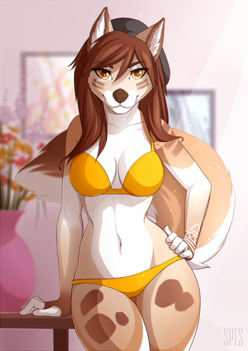anthro beanie bra breasts canid canine canis clothed clothing female hat headgear headwear inside looking_at_viewer mammal mareena_tria navel panties smile solo spefides underwear wide_hips wolf // 800x1130 // 637.2KB