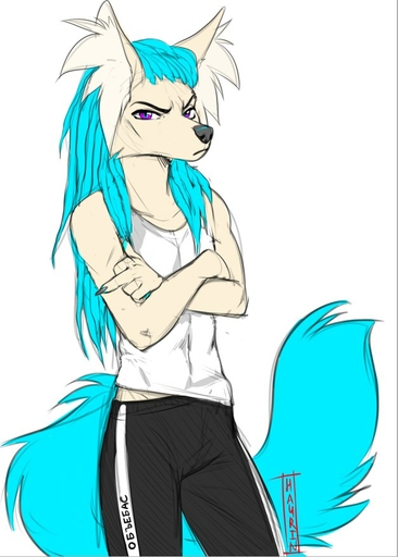 2018 5_fingers anthro black_nose blue_hair canid canine clothed clothing digital_media_(artwork) fingers hair hauringu ijo_(hauringu) looking_at_viewer male mammal purple_eyes simple_background solo white_background // 627x876 // 83KB