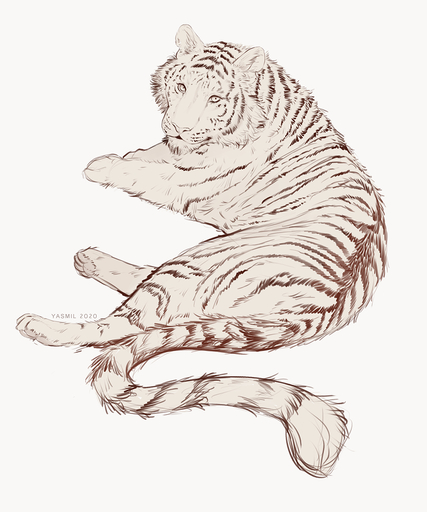 2020 ambiguous_gender black_stripes digital_media_(artwork) felid feral fur hi_res looking_at_viewer mammal pantherine simple_background solo striped_body striped_fur stripes tiger whiskers white_background yasmil // 1024x1228 // 769KB