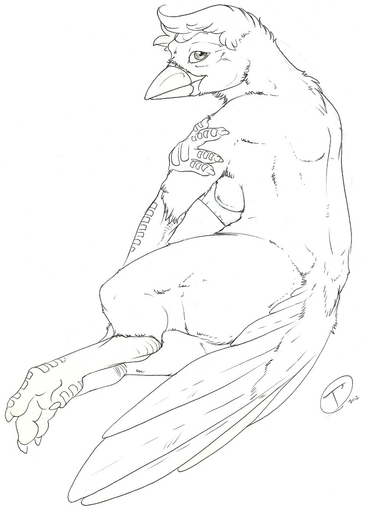 avian bird black_and_white breasts conditional_dnp female lizanne lyrebird monochrome non-mammal_breasts nude oscine passerine solo tojo_the_thief // 841x1169 // 117.0KB