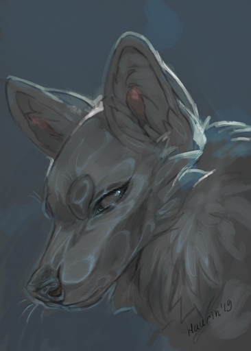 2019 ambiguous_gender canid canine canis digital_media_(artwork) feral fur hauringu headshot_portrait hi_res mammal portrait sketch solo wolf // 1463x2048 // 152.7KB