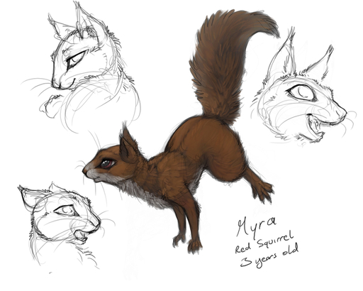 2015 5:4 ambiguous_gender feral fur ipoke mammal myra red_body red_fur rodent sciurid sketch solo tree_squirrel // 800x640 // 178KB