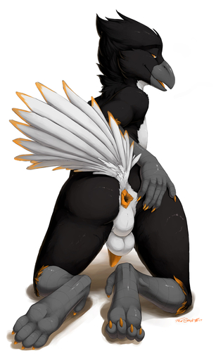 2017 4_toes 5_fingers anthro anus avian avian_penis backsack balls beak biped bird black_body black_feathers butt claws corvid corvus_(genus) digitigrade feathers feet fingers genitals half-closed_eyes icterid kneeling leaning leaning_forward looking_back male mika_(feypanda) multicolored_body multicolored_feathers narrowed_eyes new_world_oriole nude open_mouth orange_eyes orange_penis oscine passerine penis pose presenting presenting_hindquarters raised_tail raven simple_background smile soles solo spread_anus spreading tail_feathers tapering_penis toe_claws toe_curl toes truegrave9 two_tone_body two_tone_feathers white_background white_body white_feathers // 700x1167 // 271.7KB