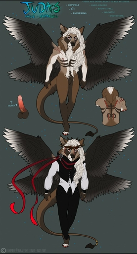 anthro balls biped canid canine compass_(artist) erection feathered_wings feathers fur genitals hair hi_res humanoid_genitalia humanoid_penis hybrid male mammal nude offon penis solo standing wings // 692x1280 // 164.1KB