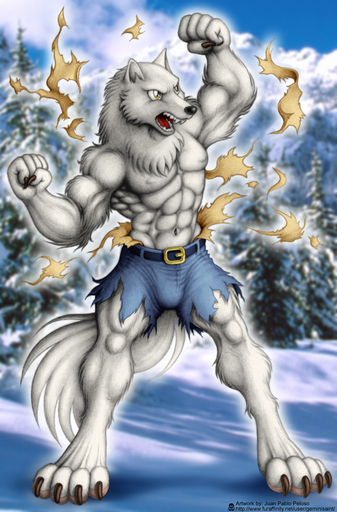 2008 abs anthro belt biceps biped black_nose bottomwear canid canine canis claws clothed clothing digitigrade fangs fur geminisaint grey_body grey_fur male mammal muscular muscular_anthro muscular_male nipples open_mouth pawpads paws pecs pose shirt shorts solo standing teeth toe_claws tongue topless topwear torn_clothing were werecanid werecanine werewolf wolf yellow_eyes // 750x1138 // 272.8KB
