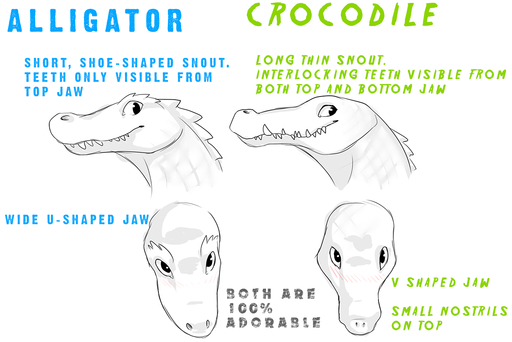 2015 alligator alligatorid ambiguous_gender blush crocodile crocodilian crocodylid digital_media_(artwork) duo english_text fivel looking_at_viewer reptile scalie teeth text // 1280x854 // 242KB