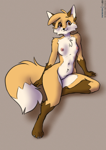 4_toes absurd_res anthro areola biped black_nose breasts brown_body brown_ears brown_eyes brown_fur brown_markings canid canine cheek_tuft chest_tuft claws cute_fangs digital_media_(artwork) dipstick_tail eye_through_hair facial_tuft feet female fox foxboy83 foxgirl83 full-length_portrait fur gloves_(marking) hair hi_res leg_markings mammal markings multicolored_body multicolored_fur navel nipples nude paws portrait shoulder_tuft simple_background sitting small_breasts socks_(marking) solo tail_markings tan_body tan_fur tan_hair toe_claws toes translucent translucent_hair tuft white_body white_fur // 2480x3508 // 5.2MB