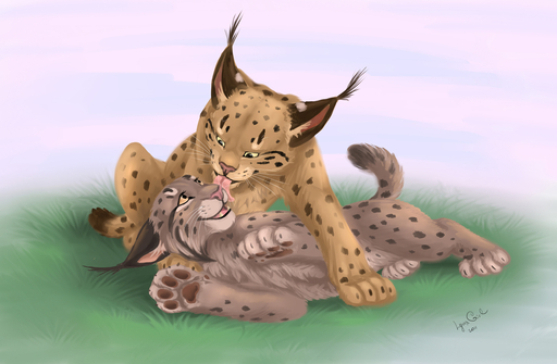 2011 ambiguous_gender brown_body brown_fur duo eye_contact face_lick felid feline feral fur grass licking looking_at_another lying lynx mammal nude paws plant reallynxgirl smile spots tongue tongue_out // 1200x785 // 363.8KB