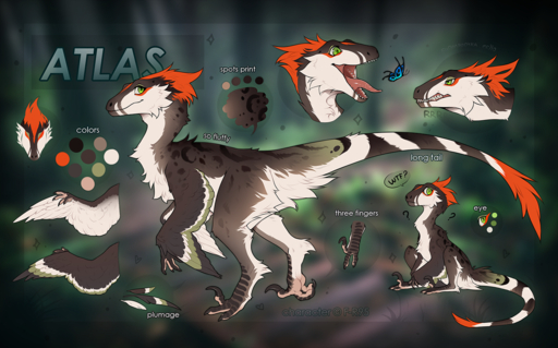 2019 ambiguous_gender atlas_(f-r95) digital_media_(artwork) dinosaur english_text f-r95 feathered_arms feral furred_raptor green_eyes model_sheet open_mouth reptile scalie sitting solo standing teeth text tongue // 1400x871 // 1.3MB
