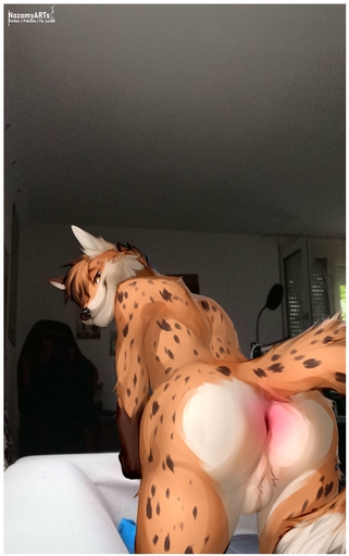 2021 absurd_res all_fours anthro anus artist_name backsack balls biped border brown_body brown_fur butt canid canine cookie_(cookiestealer) draw_over fox fur genitals head_tuft hi_res inside looking_at_viewer looking_back looking_back_at_viewer male mammal nozomyarts nude orange_body orange_fur photo_background pink_anus presenting presenting_anus presenting_hindquarters raised_tail rear_view smile smirk solo spots tuft white_balls white_body white_border white_fur // 2570x4096 // 579.8KB