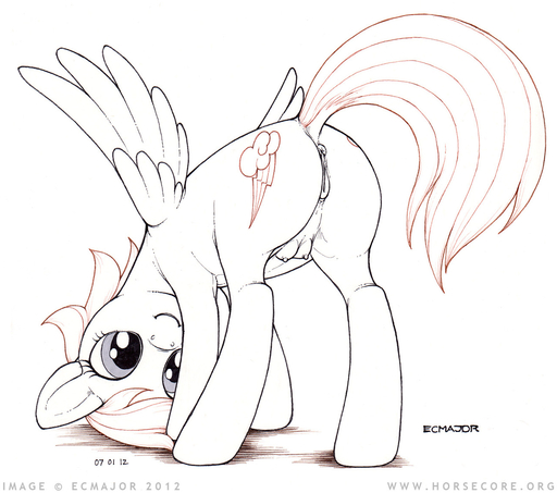 2012 anatomically_correct anatomically_correct_anus anatomically_correct_genitalia anatomically_correct_pussy animal_anus animal_genitalia animal_pussy anus ass_up black_and_white butt cutie_mark ecmajor equid equine equine_anus equine_pussy feathered_wings feathers female feral friendship_is_magic genitals hasbro horse looking_back mammal monochrome my_little_pony pegasus presenting presenting_hindquarters presenting_pussy puffy_anus pussy rainbow_dash_(mlp) signature simple_background smile solo teats white_background wings // 1280x1132 // 275.0KB