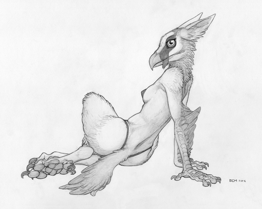 2016 accipitrid accipitriform anthro avian beak bearded_vulture bird bird_feet breasts claws clothing dewclaw ecmajor feathers female greyscale gryphon hybrid looking_at_viewer monochrome mythological_avian mythology non-mammal_breasts old_world_vulture panties pawpads paws side_boob simple_background solo talons toe_claws traditional_media_(artwork) underwear vulture white_background // 1368x1092 // 1.2MB