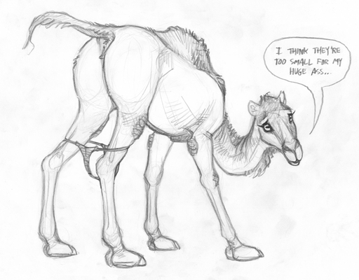 anus butt camel camelid clothed clothed_feral clothing dialogue ecmajor english_text fatty_humps female feral genitals greyscale hooves horizontal_pupils mammal monochrome panties panties_down pupils pussy sketch solo talking_feral text underwear underwear_down // 1280x999 // 193.0KB