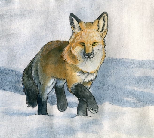 2011 ambiguous_gender canid canine feral fox mammal outside red_fox ruaidri sky snow solo vulpes // 656x590 // 79KB