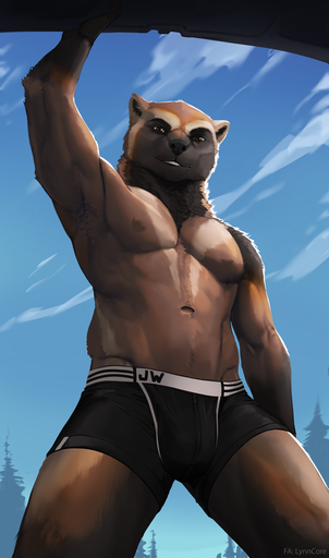 2020 anthro black_nose brown_body brown_eyes brown_fur bulge clothed clothing day detailed_background digital_media_(artwork) fur gulonine hi_res jay_(jaywolve) looking_at_viewer lynncore male mammal mustelid musteline outside sky smile solo standing topless underwear wolverine // 708x1200 // 573.6KB