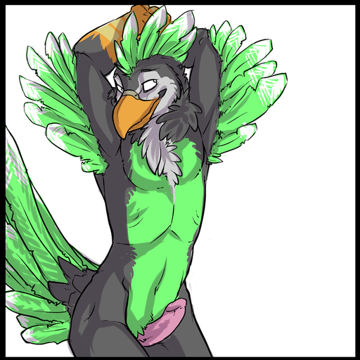 1:1 anthro avian beak biped bird black_border border chest_tuft conditional_dnp erection feathers fur genitals hands_behind_head humanoid_genitalia humanoid_penis male nude parrot penis raised_arm simple_background solo standing tuft white_background winged_arms wings xenoforge // 700x700 // 329.1KB
