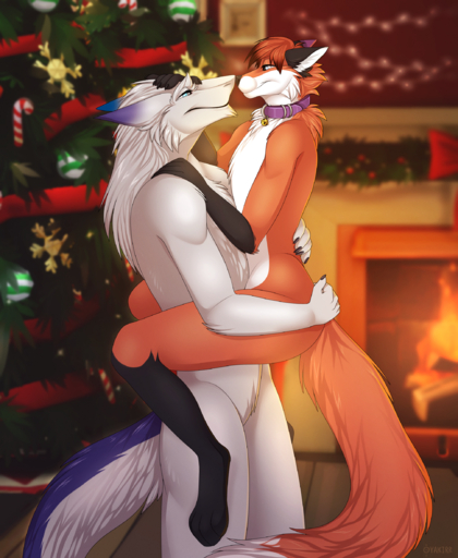 2019 4_toes 5_fingers anthro anthro_on_anthro blue_eyes canid canine carrying christmas christmas_tree collar collar_only detailed_background digital_media_(artwork) duo featureless_crotch feet fingers fire fireplace fox fur hi_res holidays inside larger_male male malemale mammal nude orange_body orange_fur plant sergal sergeantyakirr size_difference smaller_male toes tree white_body white_fur // 1936x2361 // 5.4MB