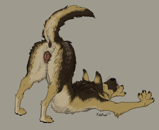 anatomically_correct anatomically_correct_genitalia anatomically_correct_pussy animal_genitalia animal_pussy anus ass_up brown_body brown_fur butt canid canine canine_pussy canis claws digitigrade domestic_dog downward_dog_pose female feral finger_claws fur furvilous genitals german_shepherd herding_dog hi_res mammal pastoral_dog presenting presenting_anus presenting_pussy pussy raised_tail solo solo_focus stretching toe_claws tongue tongue_out // 2000x1629 // 873.7KB