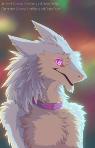 2017 ambiguous_gender anthro blue_body blue_fur blurred_background collar ear_piercing fluffy fur looking_at_viewer multicolored_body multicolored_fur neck_tuft piercing pink_eyes sergal sidgi smile solo tan_body tan_fur tuft two_tone_body two_tone_fur // 512x800 // 372.3KB