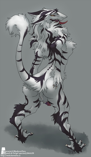 anthro backsack balls biped butt byakurai_tora erection fluffy hi_res looking_at_viewer looking_back male mammal mick39 nude open_mouth penis sergal simple_background solo standing stripes tongue tongue_out white_background // 698x1200 // 553.8KB