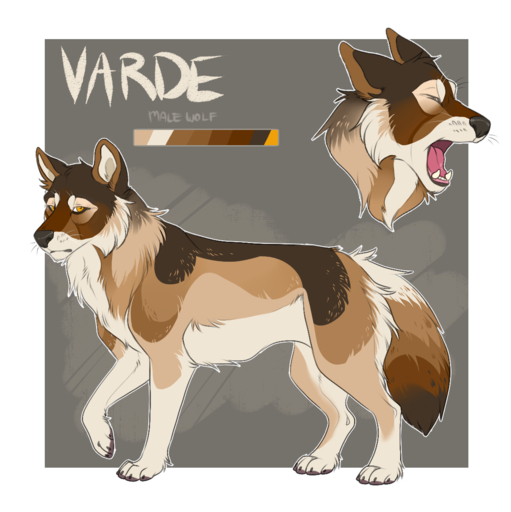 ambiguous_gender canid canine canis compass_(artist) feral fur looking_at_viewer mammal model_sheet side_view solo standing wolf // 1175x1178 // 542KB