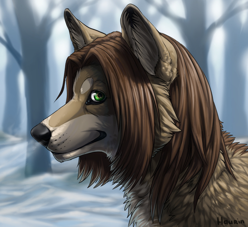 black_lips black_nose brown_body brown_fur brown_hair canid canine canis day detailed_background domestic_dog fur green_eyes grey_body grey_fur hair hauringu lips male mammal outside smile solo // 864x790 // 743KB