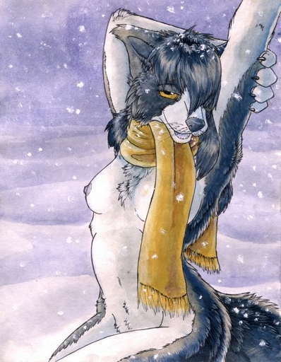 anthro breasts canid canine canis clothed clothing domestic_dog female looking_at_viewer mammal nipples nude outside ruaidri scarf snow solo topless // 504x649 // 71KB