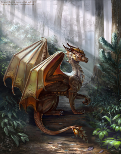 2017 brown_body brown_scales detailed_background digital_media_(artwork) dragon feral forest grass looking_at_viewer male plant red-izak ric'axoarrth scales scalie solo tree western_dragon wings // 804x1024 // 610.8KB