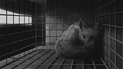 16:9 2020 ambiguous_gender cage canid canine feral fluffy fluffy_tail fox fur greyscale ipoke light lighting looking_at_viewer mammal monochrome solo whiskers widescreen // 1200x675 // 299.7KB