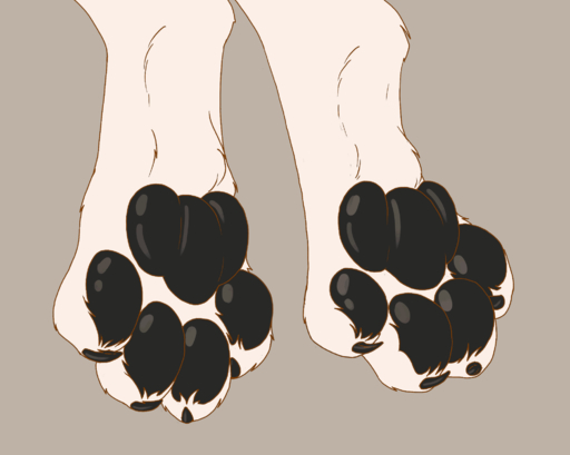 ambiguous_gender animated black_pawpads canid canine canis claws faceless_character feet foot_fetish foot_focus fur hi_res male mammal mituni_(artist) pawpads paws sabbyth solo spread_toes toe_claws toe_curl toes white_body white_fur wolf // 1980x1580 // 1.6MB