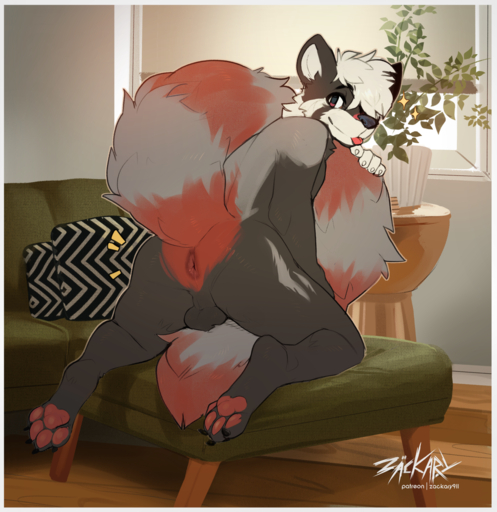 2022 ailurid anthro anus balls blep butt conditional_dnp detailed_background digital_media_(artwork) fluffy fluffy_tail fur furniture genitals hi_res male mammal nude pawpads pillow plant plant_pot potted_plant red_panda sofa solo tongue tongue_out zackary911 // 1449x1494 // 2.1MB