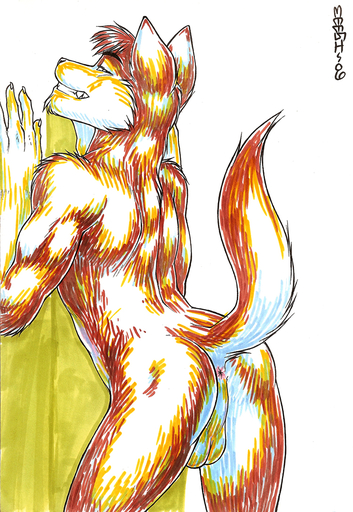 2006 anthro anus backsack balls butt canid canine digital_media_(artwork) looking_at_viewer male mammal marker_(artwork) meesh nude pinup pose presenting solo traditional_media_(artwork) // 750x1088 // 748.0KB