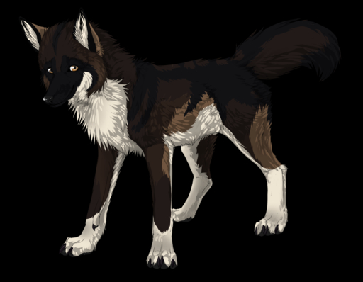 alpha_channel black_body black_fur black_nose brown_body brown_eyes brown_fur canid canine canis domestic_dog feral fur hauringu male mammal nude paws quadruped simple_background smile solo standing transparent_background white_body white_fur // 1500x1166 // 628KB