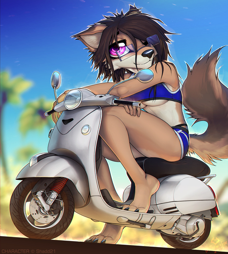2019 anthro barefoot big_eyes bikini biped black_claws black_hair black_nose blue_bottomwear blue_clothing blue_sky blue_topwear blurred_background bottomwear breasts brown_body brown_fur brown_tail canid canine canis claws clothed clothing day depth_of_field digital_media_(artwork) feet female fur hair hair_over_eye hi_res long_hair looking_at_viewer macmegagerc mammal moped multicolored_body multicolored_fur one_eye_obstructed outside pink_eyes plant scooter sky smile solo swimwear tan_body tan_fur toe_claws topwear tree two_tone_body two_tone_fur under_boob vehicle wolf // 1260x1400 // 1.8MB