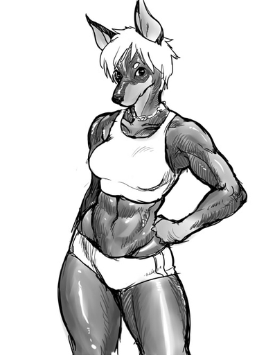 abs anthro biped bottomwear breasts canid canine canis clothed clothing collar digital_media_(artwork) dobermann domestic_dog female front_view greyscale hair hand_on_hip kikurage looking_at_viewer mammal monochrome muscular muscular_anthro muscular_female navel pinscher pose shaded shirt short_hair shorts simple_background skimpy solo standing tank_top thick_thighs topwear white_background // 499x666 // 55KB