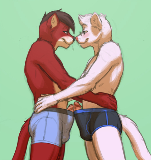 anthro anthro_on_anthro blush boxer_briefs boxers_(clothing) bulge clothed clothing clothing_aside digital_media_(artwork) duo embrace erection foreskin frankie_ancelotti frottage fur genitals hug humanoid_genitalia humanoid_penis male malemale mammal meesh mustela mustelid musteline nose_bump nose_to_nose partially_retracted_foreskin pence_(character) penis poking_out pop_out red_body red_fur retracted_foreskin romantic_couple sex stoat topless true_musteline uncut underwear underwear_aside whiskers white_body white_fur // 681x720 // 210.5KB