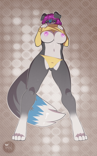 anthro areola breasts canid canine canis clothed clothing dipstick_tail domestic_dog female flashing looking_down mammal multicolored_tail navel nipples panties perspective skimpy solo spearfrost sweater_lift underwear // 683x1100 // 942.1KB
