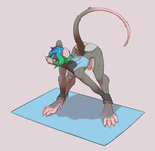 anthro ari_(caudamus) bent_over bent_over_with_legs_held_straight blue_eyes bottomless butt clothed clothing curled_tail extended_arms fuzzamorous genitals girly hair half-closed_eyes hands_on_ankles hands_on_legs hands_on_own_ankles hands_on_own_legs hi_res holding_ankles holding_legs humanoid_genitalia humanoid_penis leaning_on_self looking_back male mammal mouse murid murine narrowed_eyes penis raised_tail rodent shirt simple_background smile solo standing straight_legs stretching tank_top topwear wide_stance yoga // 1280x1247 // 129.3KB
