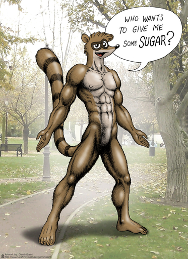 2015 5_fingers 5_toes anthro brown_body brown_eyes brown_fur don_(regular_show) english_text featureless_crotch feet fingers front_view fur geminisaint hi_res looking_at_viewer male mammal muscular muscular_anthro muscular_male nude open_mouth outside photo_background procyonid raccoon solo speech_bubble standing text toes // 884x1214 // 355.3KB