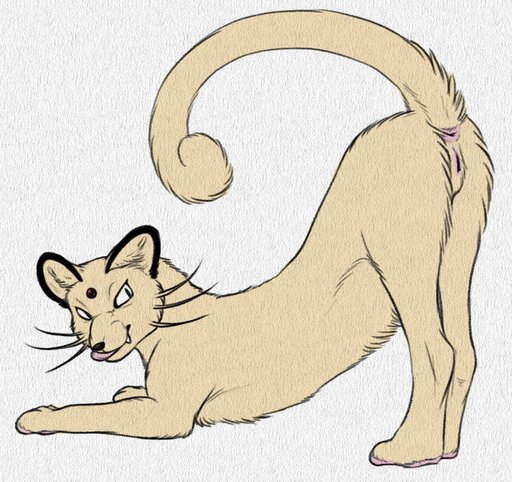 anus ass_up butt felid female feral genitals graphite_(artwork) licking licking_lips looking_back mammal nintendo pencil_(artwork) persian_(pokemon) pokemon pokemon_(species) presenting presenting_hindquarters pussy python13rp self_lick simple_background solo tongue tongue_out traditional_media_(artwork) video_games whiskers white_background yaroul // 916x862 // 711.2KB