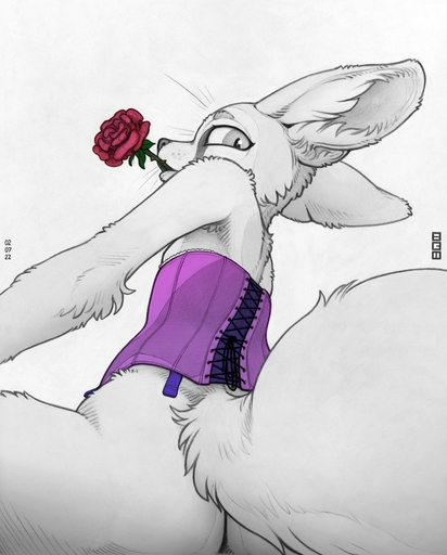2022 ambiguous_gender anthro butt canid canine clothing corset ecmajor fennec flower fox hi_res lingerie looking_at_viewer low-angle_view mammal mouth_hold plant rose_(flower) signature simple_background sitting solo topwear vulpes white_background // 992x1234 // 143.0KB