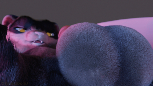 16:9 2020 3d_(artwork) 3d_animation animated anthro balls balls_focus big_balls breathing close-up collaboration deretto detailed detailed_fur digital_media_(artwork) domestic_ferret erection feodaron_sd fur genital_focus genitals grey_background kuroodod looking_at_genitalia looking_at_own_penis looking_at_penis looking_at_self loop lying male mammal mustela mustelid musteline nude on_back penis pink_nose short_playtime simple_background solo spread_legs spreading tai_(changing_fates) true_musteline whiskers widescreen yellow_eyes // 880x495 // 9.8MB