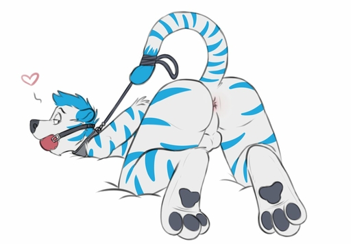 3_toes <3 anthro anus arm_tuft ass_up backsack ball_gag balls bdsm biped blue_hair blue_stripes blue_tail bondage bound bubble_butt butt collar dipstick_tail ears_back elbow_tufts eyebrows fangs feet felid flat_colors fur gag gagged genitals grey_nose grey_pawpads hair half-closed_eyes hands_behind_back head_tuft leucistic looking_back lying male mammal markings multicolored_tail narrowed_eyes nude on_front pantherine pawpads pink_anus pivoted_ears presenting presenting_hindquarters red_ball_gag rope rotten_robbie short_hair simple_background solo storm-tiger striped_body striped_fur striped_markings striped_tail stripes submissive submissive_male tail_bondage tail_markings tiger toes tuft two_tone_tail white_background white_body white_fur white_tail // 1287x895 // 74.8KB